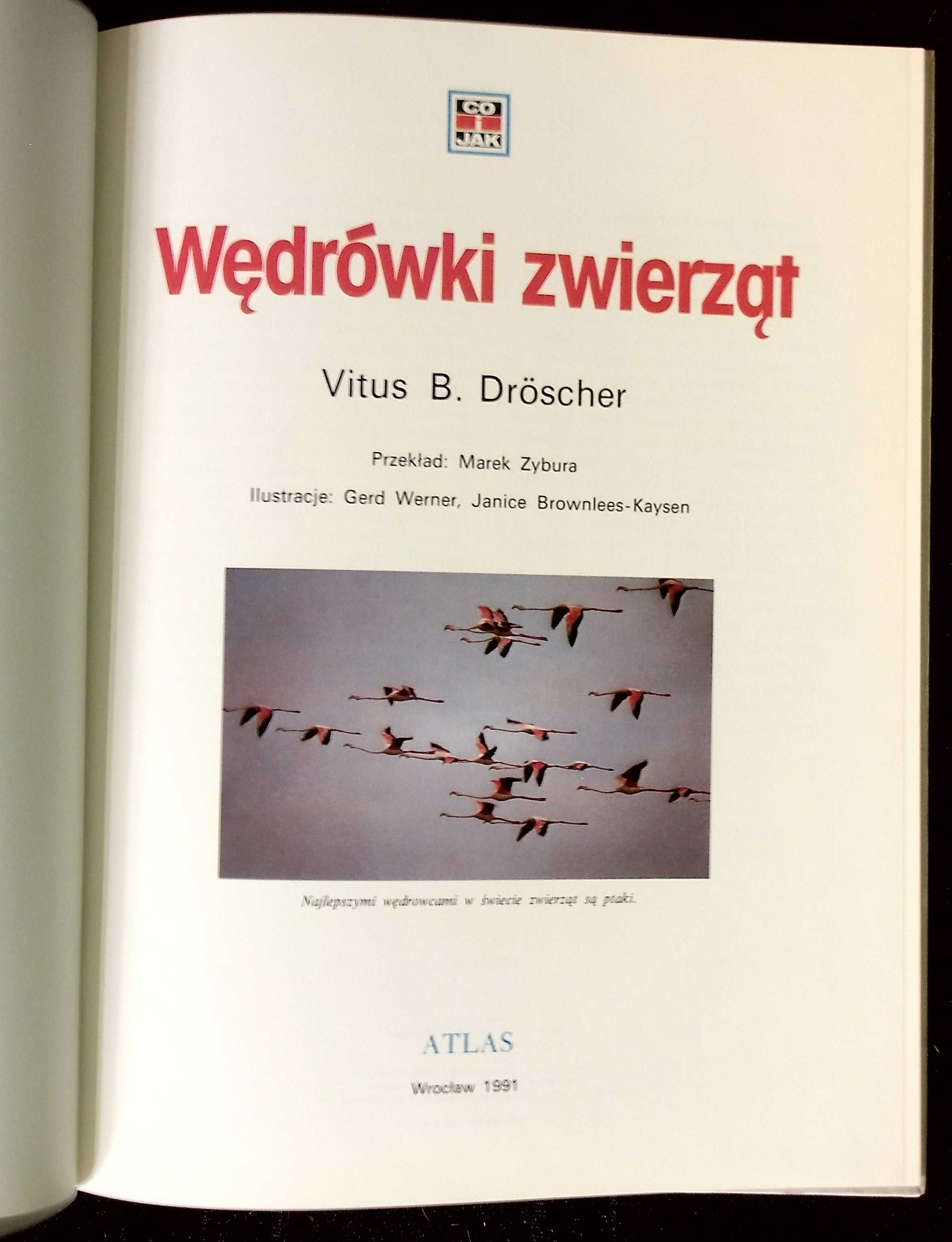 Co i jak. tom 6 Wędrówki zwierząt i tom 29 Konie