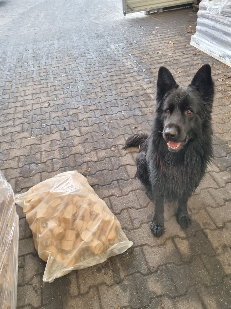 Brykiet drzewny Bukowy w 100% czysty! Bez domieszek!