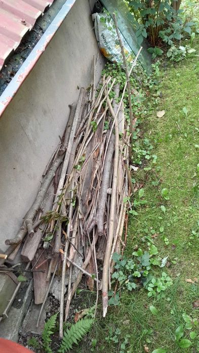 Drewno na opał, chrust