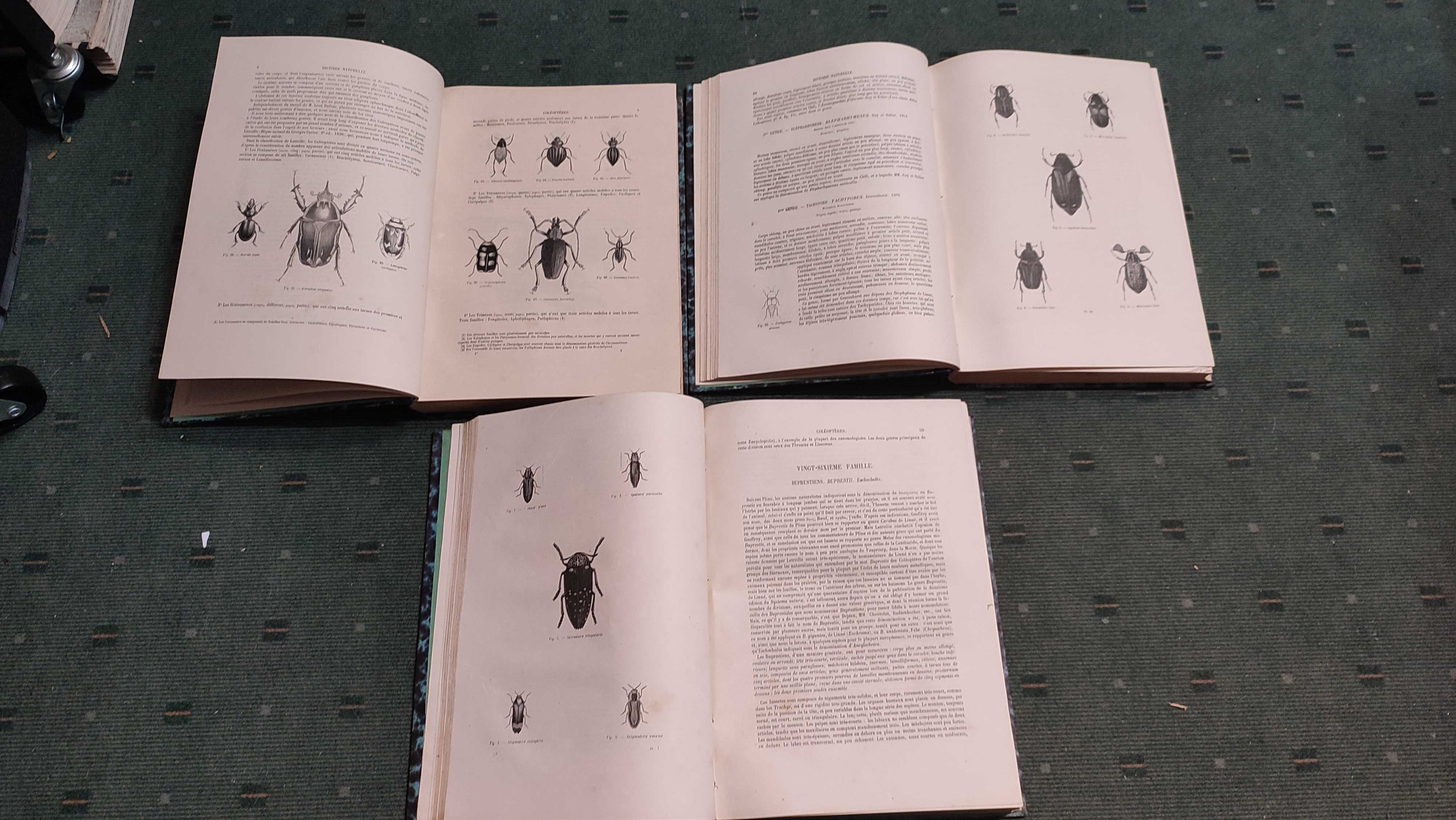 Encyclopédie D'Histoire Naturelle Traité Complet -Coléopteres - 3 Vol