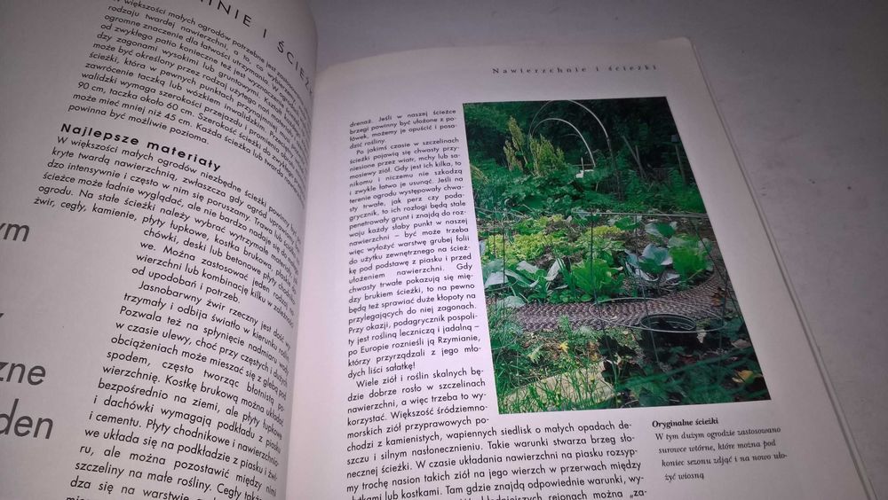 Jadalne rośliny w pojemnikach
Michael Guerra