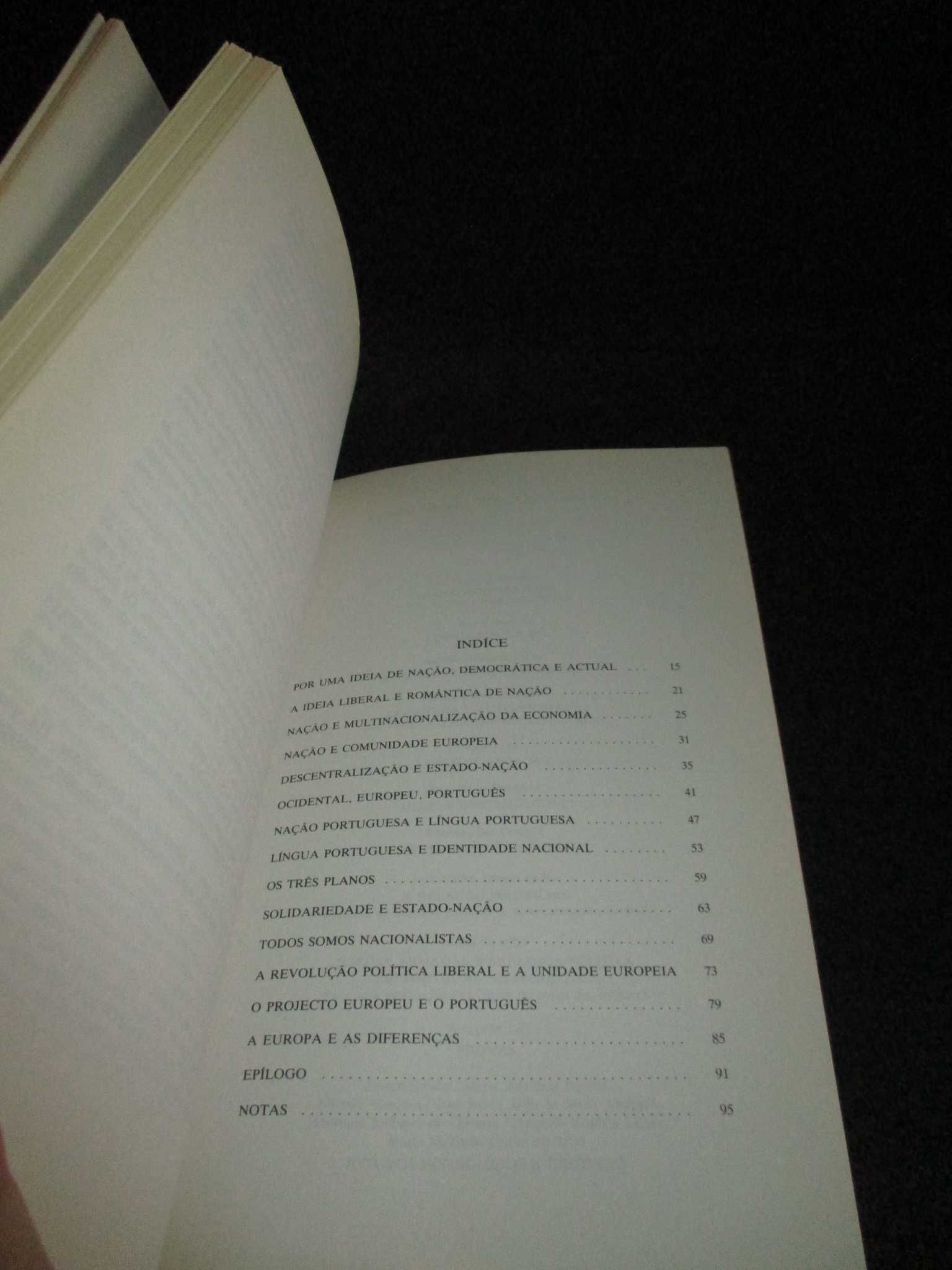 Livro Nação Fim ou Metamorfose José Fernandes Fafe