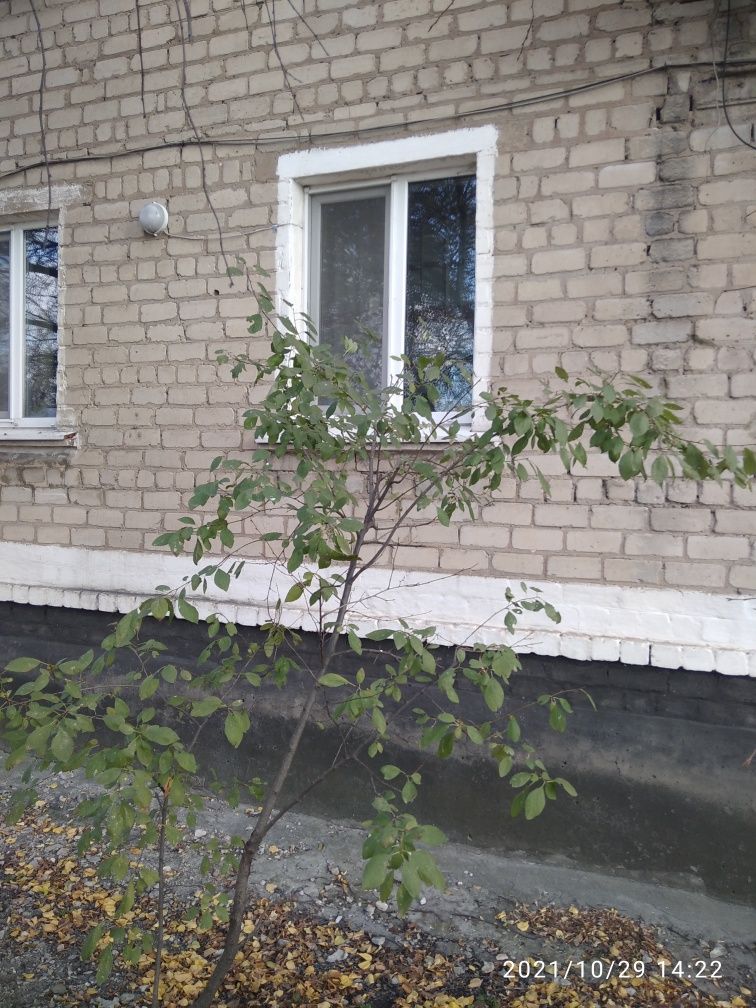 Сдам 2х комнатную квартиру в п.Водяное Добропольского р-на Донецкой об
