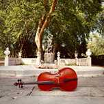Música ao Vivo com Violoncelo – Atmosfera Elegante