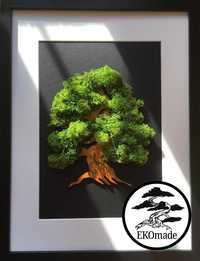 Prezent - obraz drzewko szczęścia bonsai- mech chrobotek