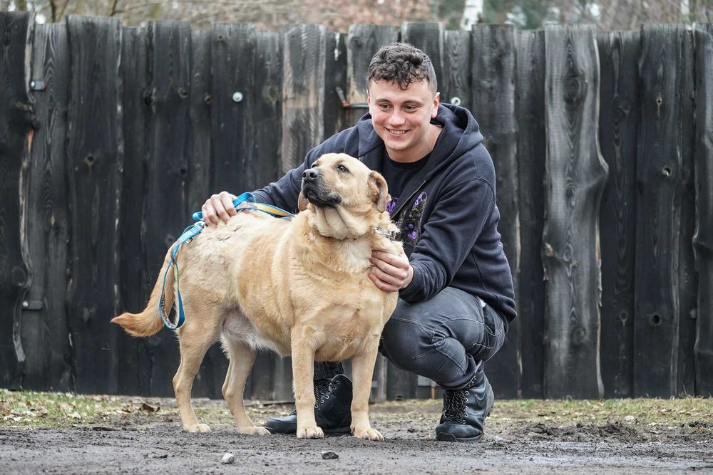 Kenta - super pozytywna sunia szuka domu