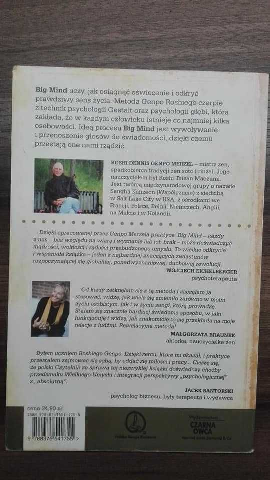 Big Mind BH Wielki umysł Wielkie serce Dennis Merzel książka z płytą