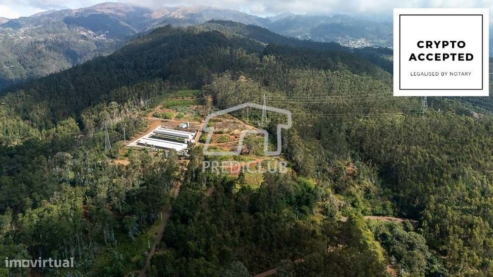 Terreno 17.542 m2 - Câmara de Lobos