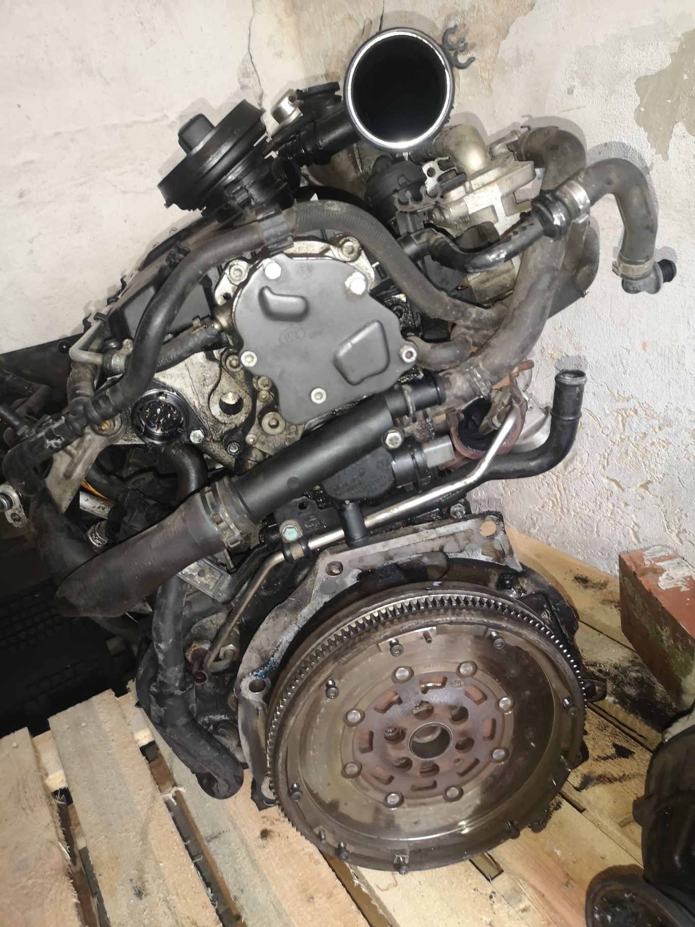 Silnik 1.9 TDI kompletny sprawny Volkswagen Golf 5 model - BXF025171