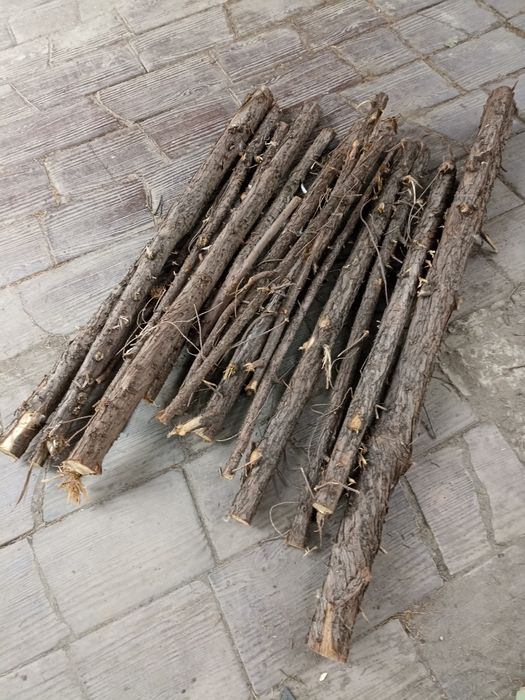 Продам древесину можжевельника