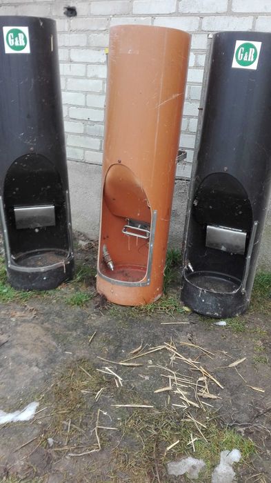 automaty paszowe dla trzody, karmniki dla świń tuczników loch