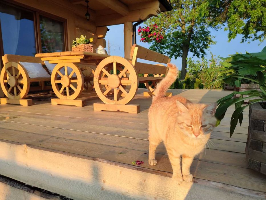 Sylwester. Ferie, wakacje,balia,bania,kominek,noclegi,koło Karpacza