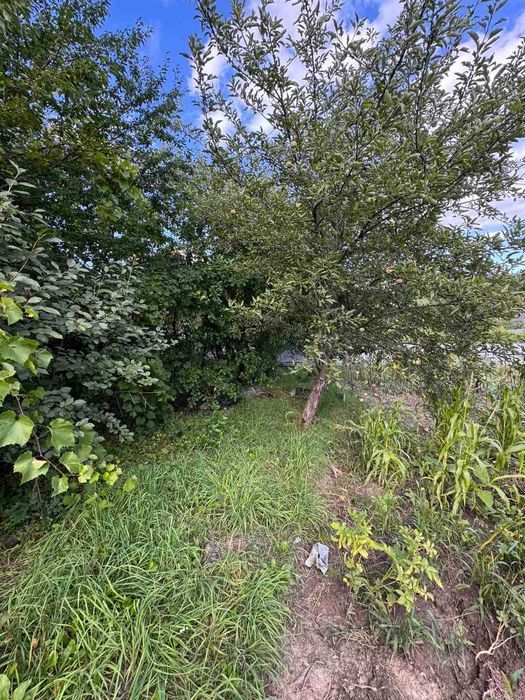 Продаж дачного будинку, район Лезнєво, садівниче товариство Промінь