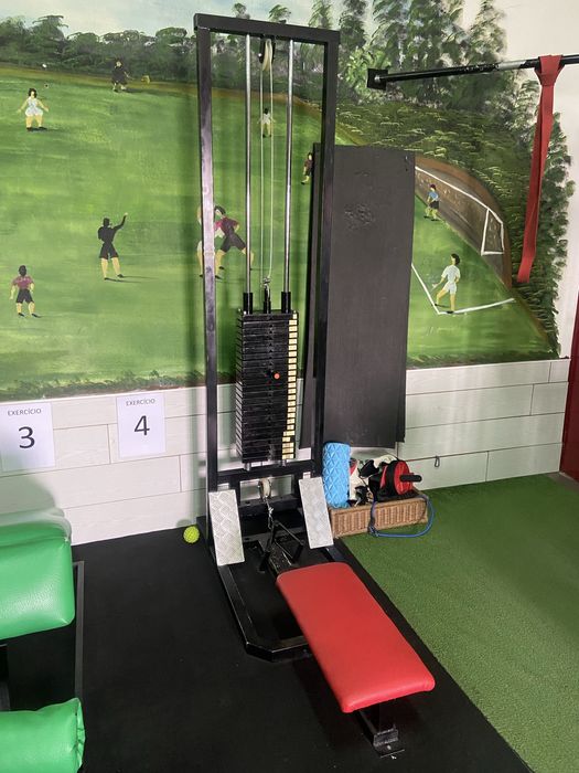 Maquina Remada com 120kg