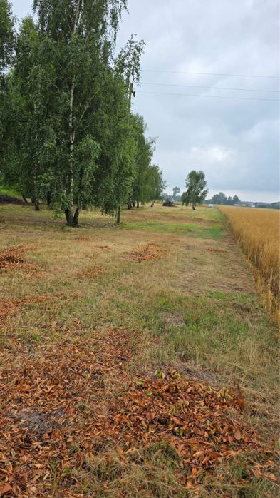 Działka rolna w Rzakcie (gm. Wiązowna) 1,67ha