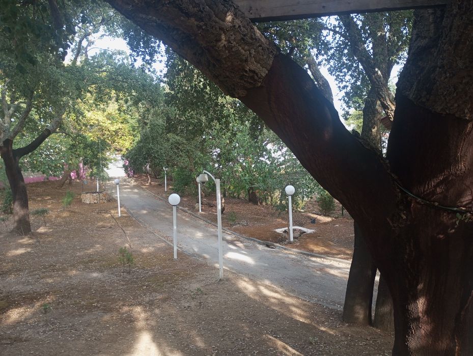 Villa composta de  3 casas:vivenda+ chalet de madeira+casa+ piscina