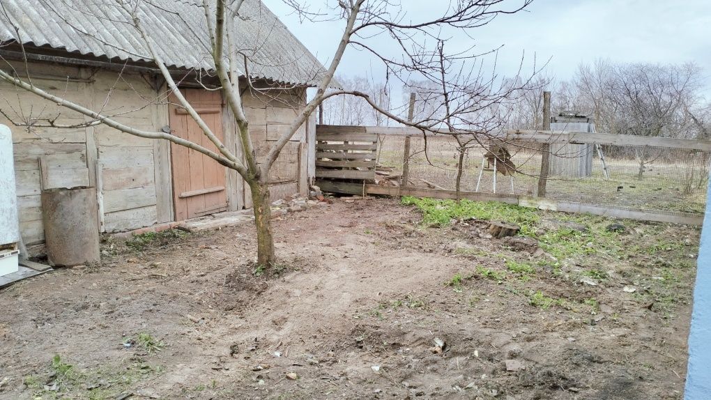 Продам 1/2 будинку с Савин (60 км від Києва)