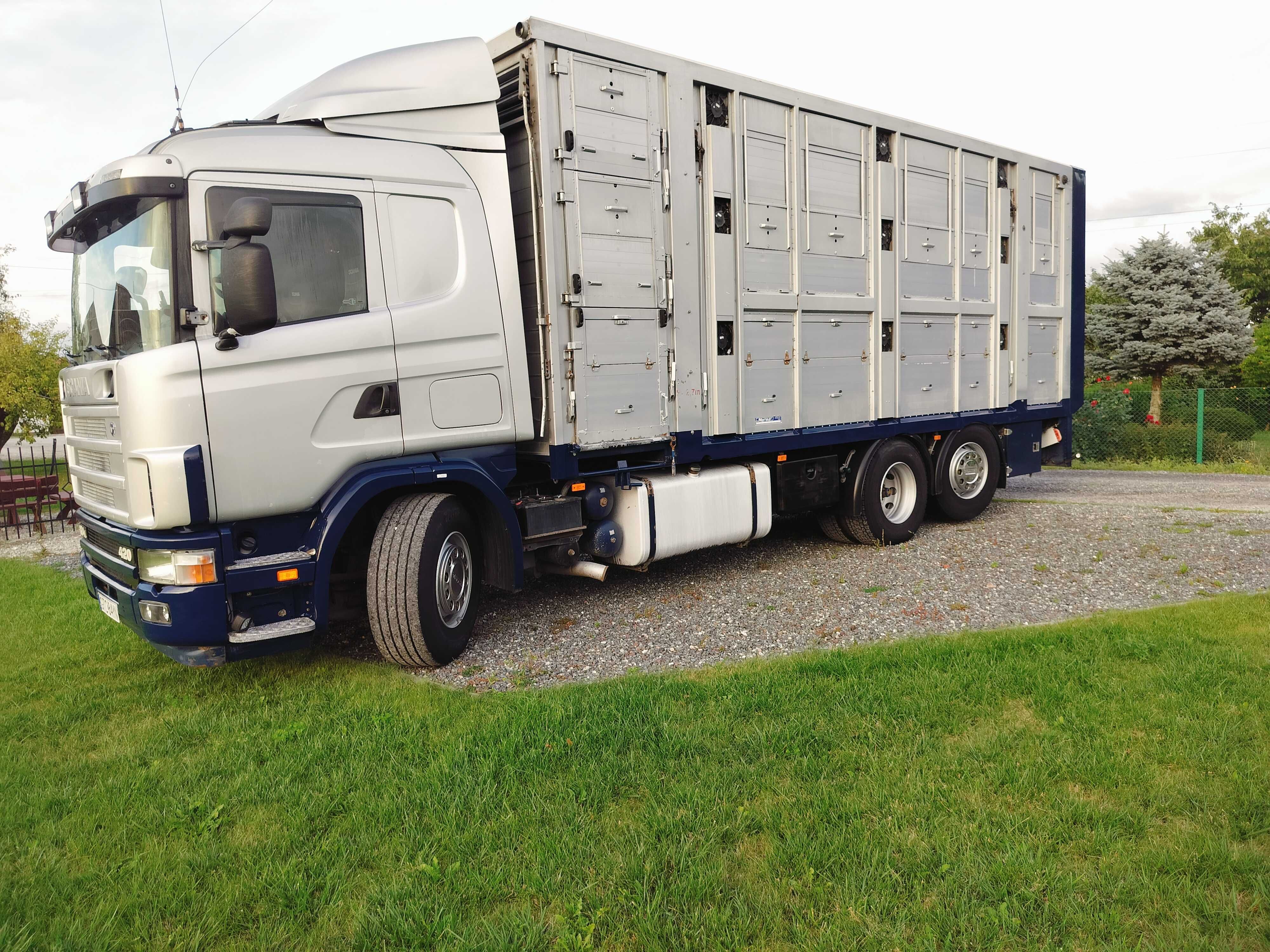 Scania L 420 Do transportu zwierząt , żywca , trzody , bydła