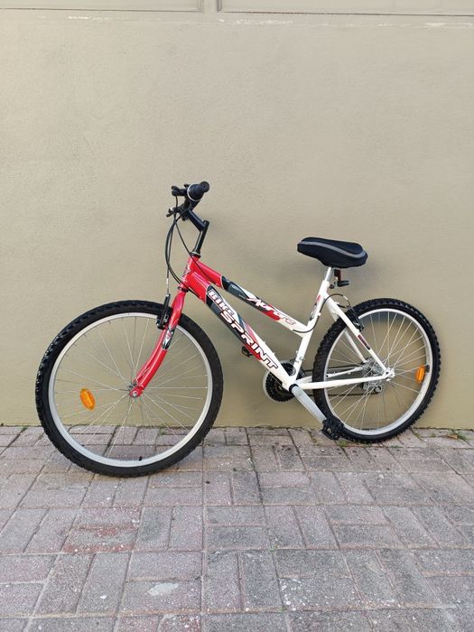 Bicicleta de montanha