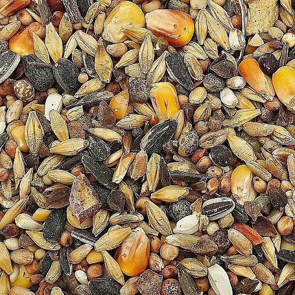 5kg Uniwersalna karma dla ptaków ziarno pokarm zimowy karmnik Champi