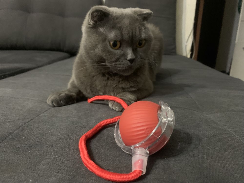 Игрушка, шарик, мячик для кота USB три режима