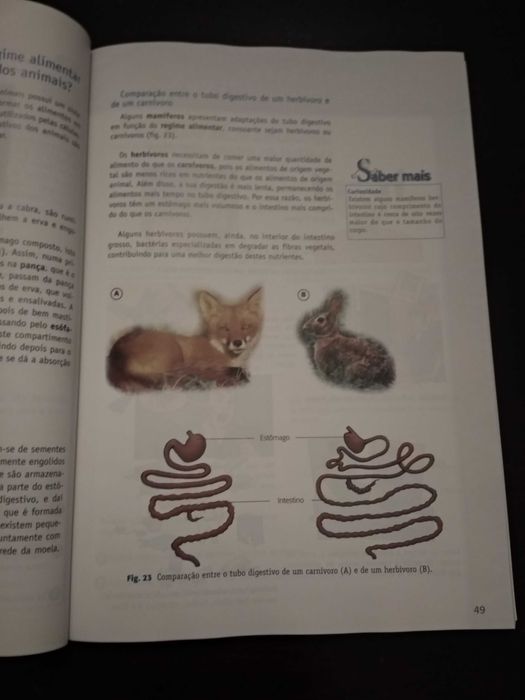 Manual e caderno de atividades Ciências da Natureza 6.º ano
