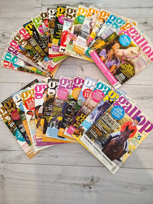 Zestaw dla miłośnika koni