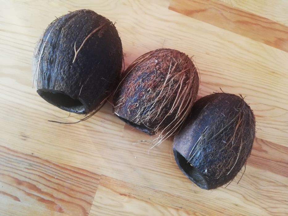 Kokos skorupa do akwarium