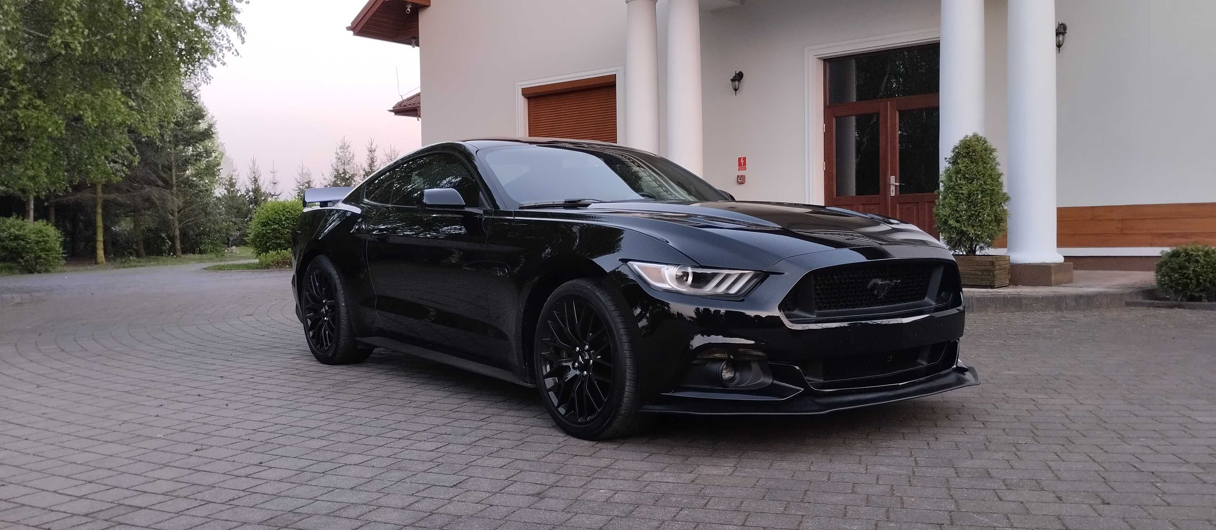 Ford Mustang VI 2015 5.0 wydech dolot Roush Manual