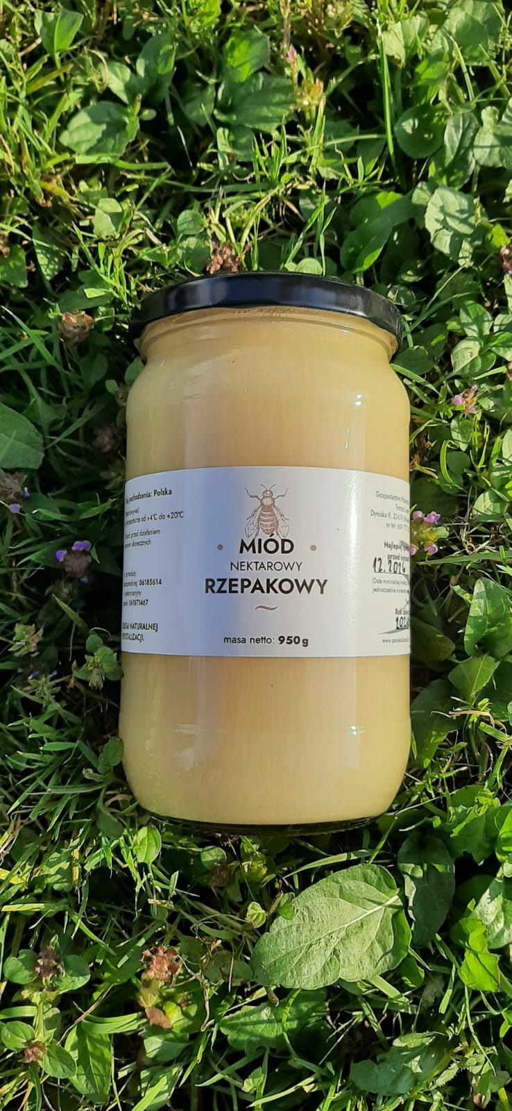 Miód rzepakowy 950gram/720ml z Roztocza