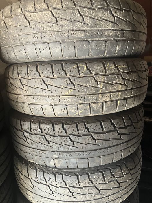 Зимняя Premiorri Viamaggiore Z Plus