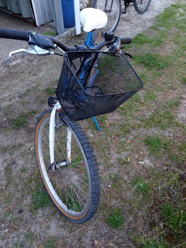 Bicicleta de senhora