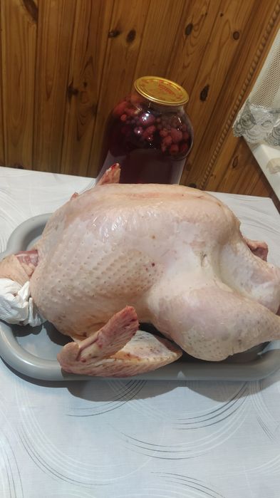 Тушка індика біг6 (3,5місяці)