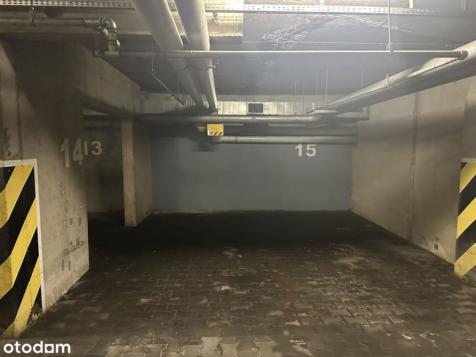 Bezpośrednio, Chartowo Tower, dostępne od zaraz