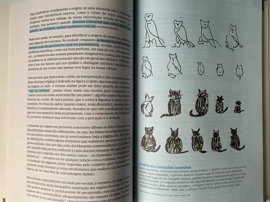 Treinar a Memória