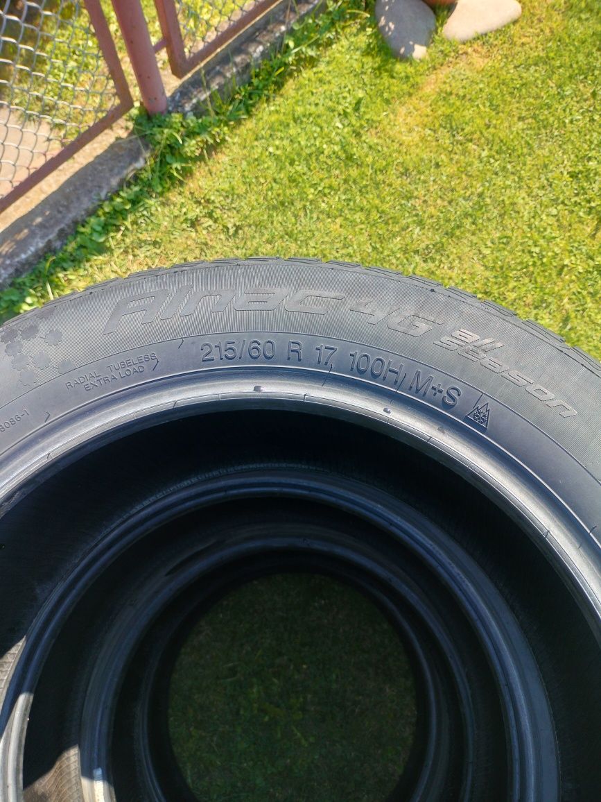 Шини Apollo 215/60 r17 зимові