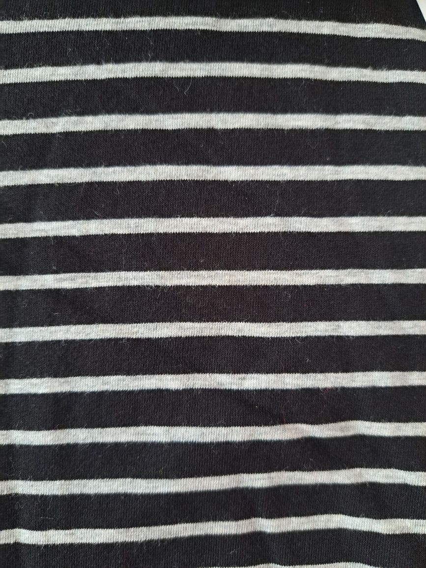 T-shirt, paski, golf, P&C, Montego 38