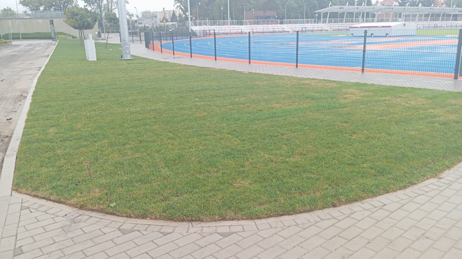 Trawnik z rolki trawa zakladanie trawników automatyczne nawodnienia