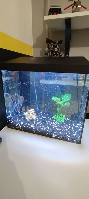 Akwarium 35 L plus akcesoria