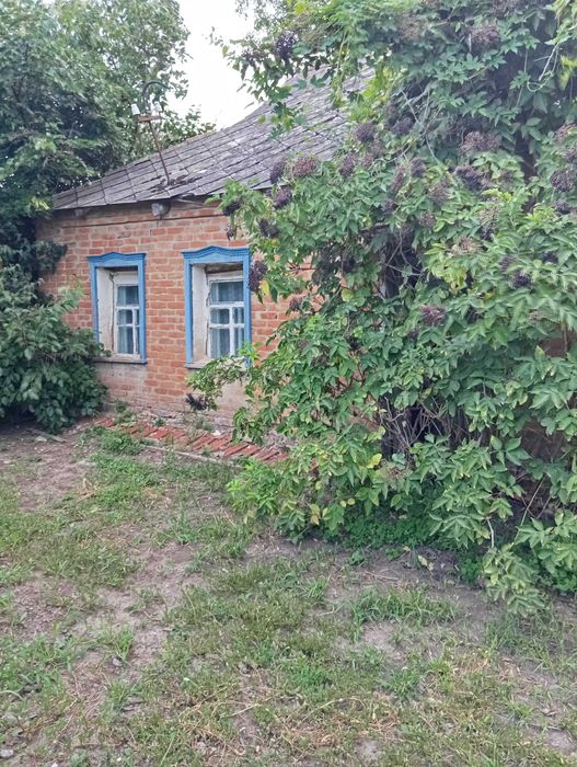 Земельна ділянка зі старою хатою