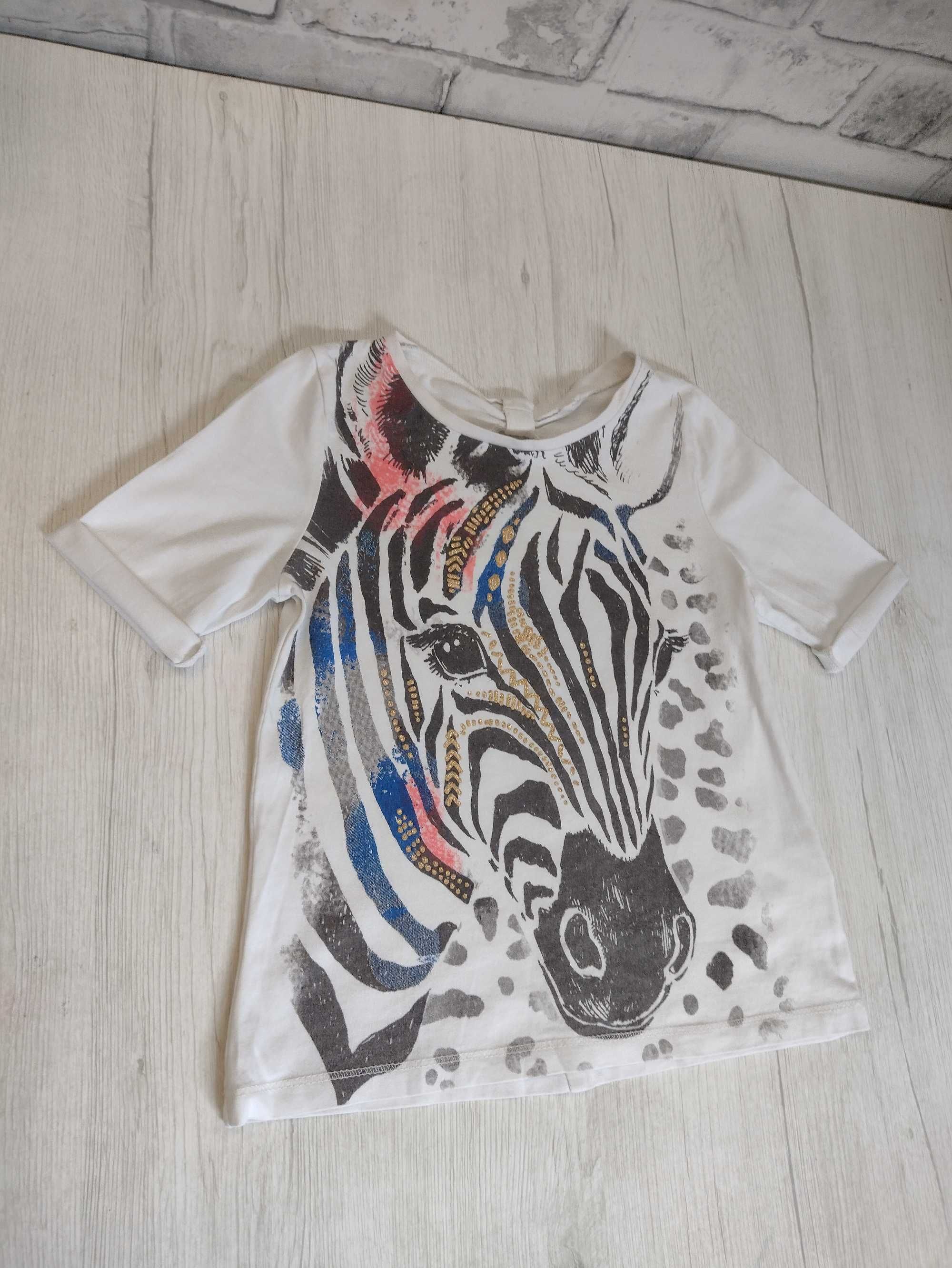 zebra z zebrą zoo safari biała koszulka bluzka z krótkim rękawem 110