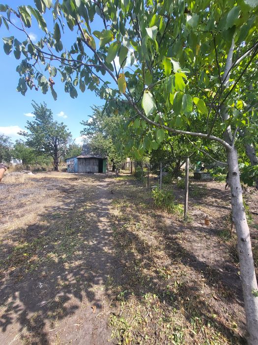 Продам дачу. Баглей 2.