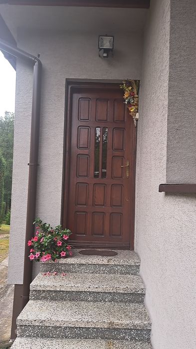Drzwi zewnętrzne z demontażu.