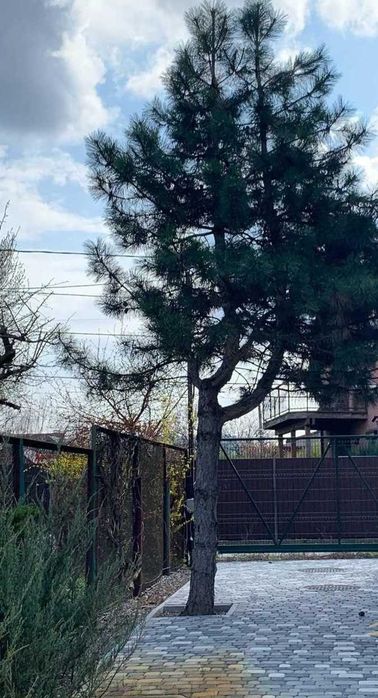 Без% Ключі на руках,Новий будинок Русанівські Сади Вигода
