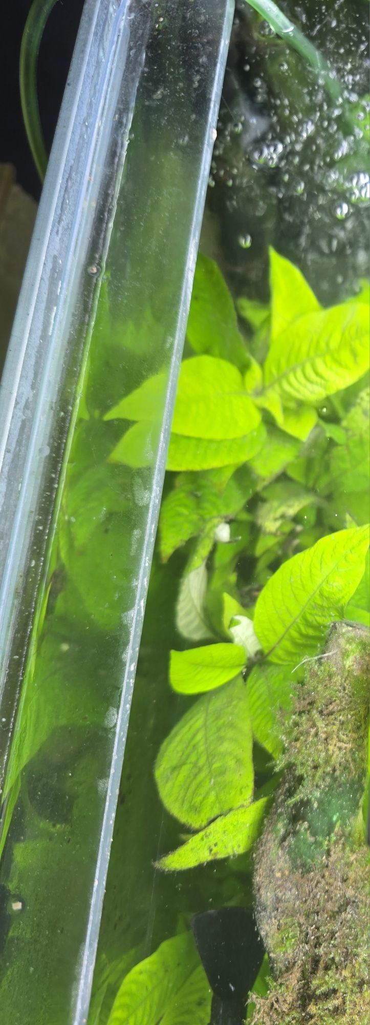 Akwarium 90L Nietypowy Rozmiar
