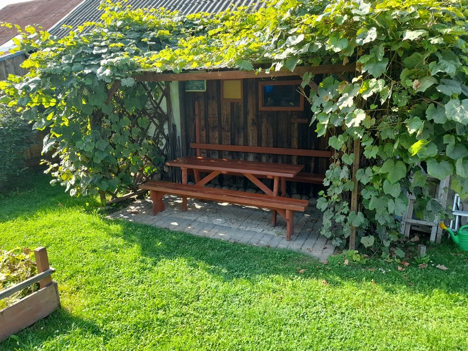 Domek na wynajem