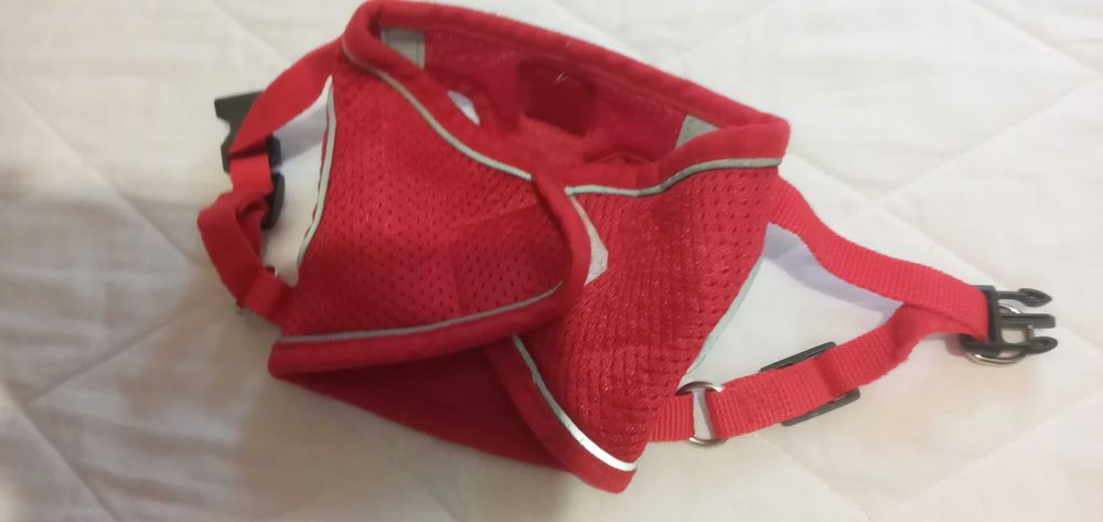 Шлейки для маленьких пород собак