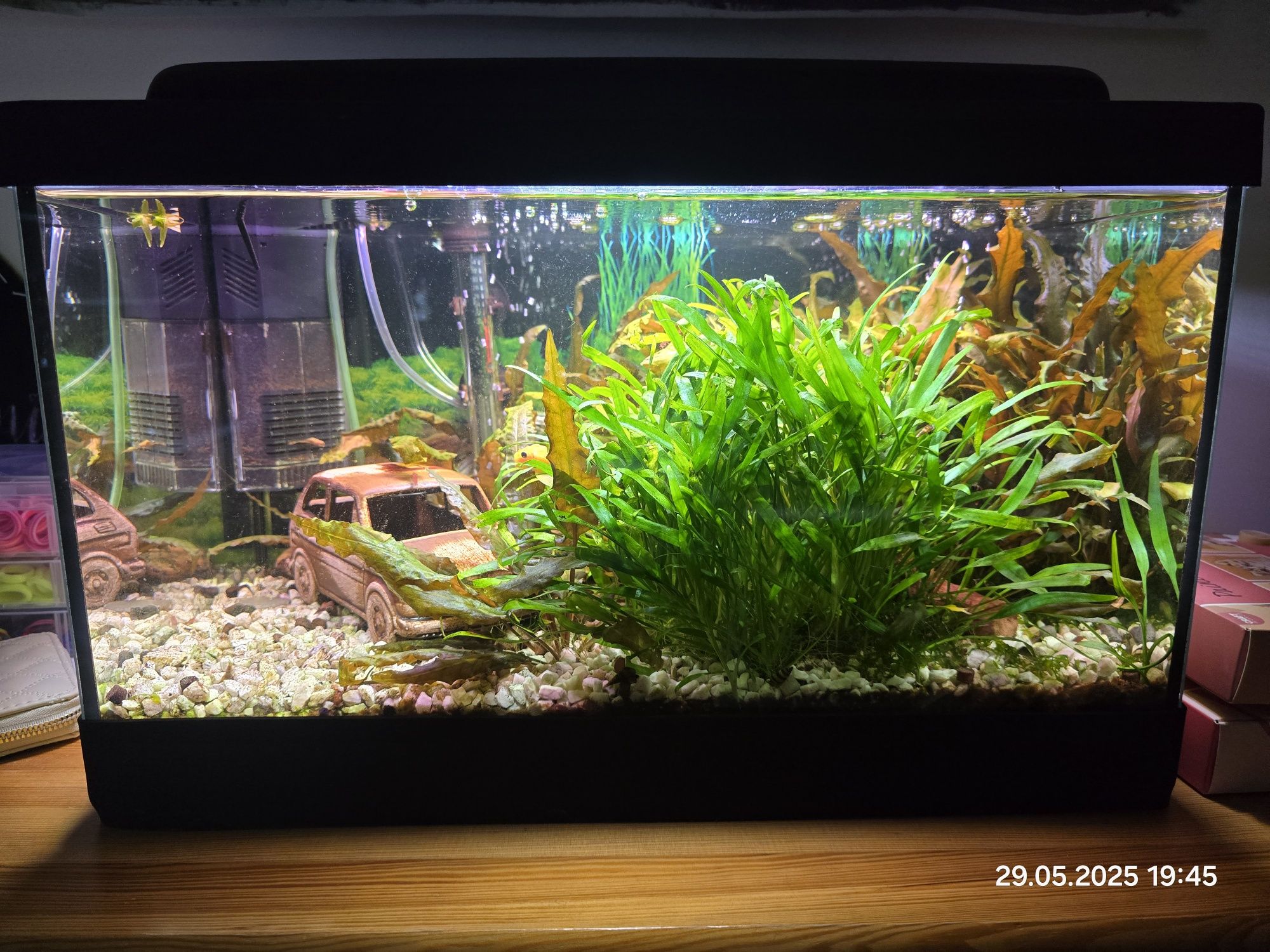 Akwarium 40 l z osprzętem