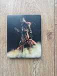 Dark Souls trilogy steelbook (custom)