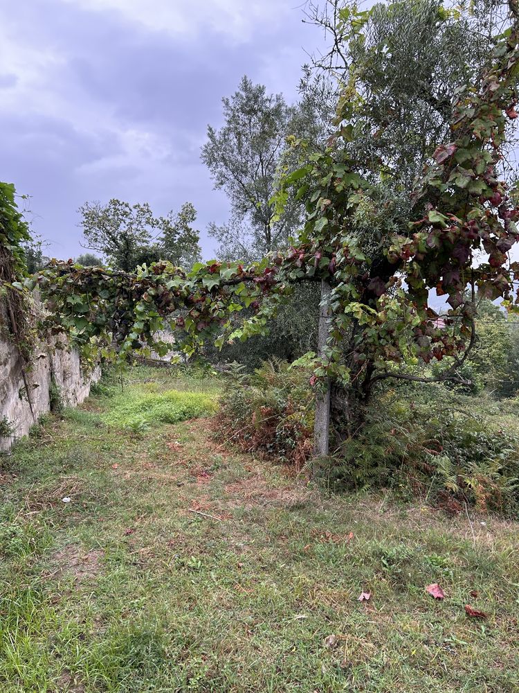 Terreno para construcao